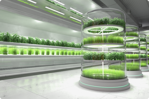 apie-hydroponika-bloombay